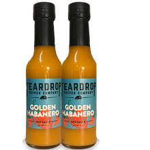 Load image into Gallery viewer, Mix and Match Teardrop 2-Pack